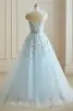 Flower Fairy Sky Blue 3D Lace Prom Dresses 2024 Crossed Straps Floor-Length / Long V-Neck Dancing Sleeveless A-Line / Princess Formal Dresses