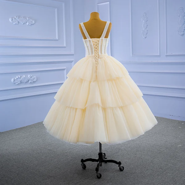 sachin and babi light blue dress Champagne Long Prom Dress, Aline Champagne Graduation Dress with Beading US 12 / Champagne main image 1