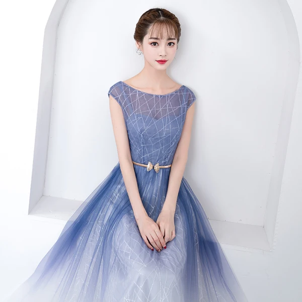 Chic / Beautiful Gradient-Color Floor-Length / Long Evening Dresses 2018 A-Line / Princess Tulle U-Neck Striped Backless Evening Party Formal Dresses