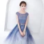 Chic / Beautiful Gradient-Color Floor-Length / Long Evening Dresses  2018 A-Line / Princess Tulle U-Neck Striped Backless Evening Party Formal Dresses