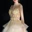 Luxury / Gorgeous Short Champagne Party Dresses 2018 Tulle A-Line / Princess V-Neck Appliques Backless Homecoming Formal Dresses