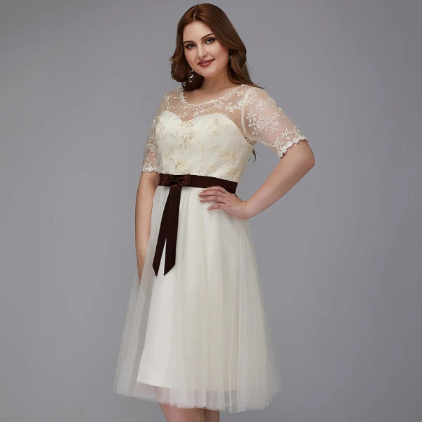 Chic / Beautiful Champagne Plus Size Graduation Dresses 2020 A-Line / Princess U-Neck 1/2 Sleeves Appliques Backless Embroidered Handmade Homecoming Formal Dresses