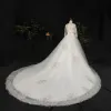 Luxury / Gorgeous Champagne Plus Size Ball Gown Wedding Dresses 2021 Lace V-Neck Short Sleeve Handmade  Appliques Backless Sequins Chapel Train Wedding