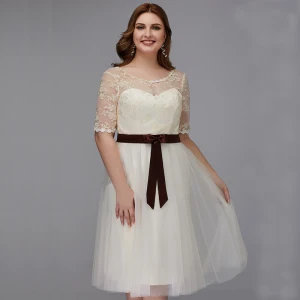 Chic Beautiful Champagne Plus Size Graduation Dresses 2020 A Line Princess U Neck 1 2 Sleeves Appliques Backless Embroidered Handmade Homecoming Formal Dresses