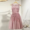 Chic / Beautiful Evening Party Formal Dresses 2017 Party Dresses Lace Flower Appliques Pearl Scoop Neck Sleeveless Candy Pink Short A-Line / Princess