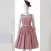 Chic / Beautiful Evening Party Formal Dresses 2017 Party Dresses Lace Flower Appliques Pearl Scoop Neck Sleeveless Candy Pink Short A-Line / Princess