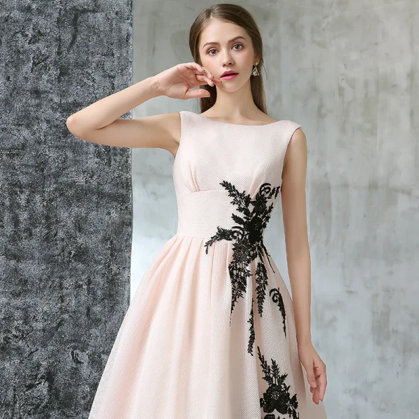 Chic / Beautiful Evening Dresses 2017 Blushing Pink A-Line / Princess Floor-Length / Long Scoop Neck Sleeveless Backless Appliques Flower Formal Dresses