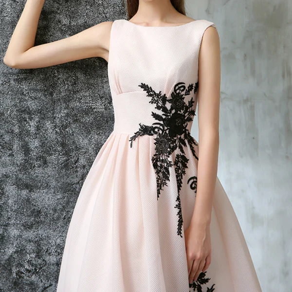 Chic / Beautiful Evening Dresses 2017 Blushing Pink A-Line / Princess Floor-Length / Long Scoop Neck Sleeveless Backless Appliques Flower Formal Dresses