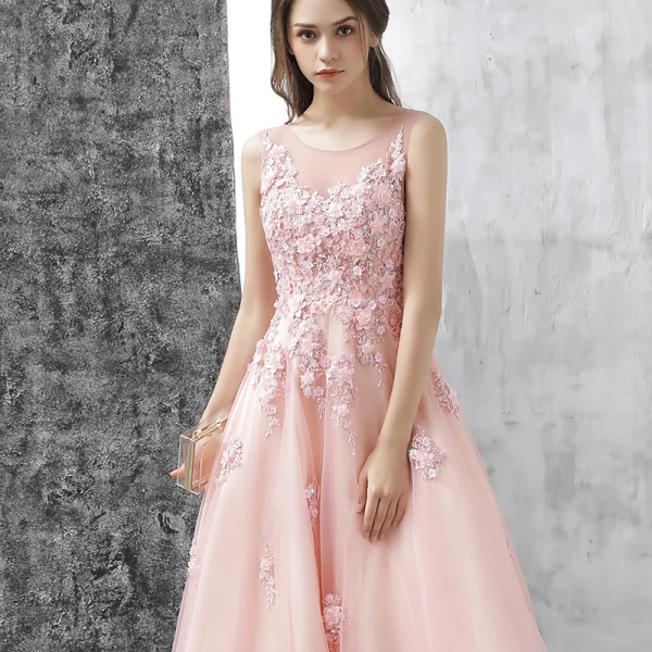 Chic / Beautiful Evening Dresses 2017 Candy Pink A-Line / Princess Floor-Length / Long Scoop Neck Sleeveless Backless Appliques Flower Pierced Formal Dresses
