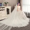 Elegant Champagne Pleated Wedding Dresses 2019 A-Line / Princess Spaghetti Straps Lace Flower Sleeveless Backless Court Train