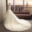 Elegant Ivory Wedding Dresses 2019 A-Line / Princess Sleeveless Leaf Appliques Off-The-Shoulder Backless Ruffle Cathedral Train Wedding