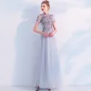 Elegante Grau Ballkleider 2019 A Linie Stehkragen Durchsichtige Spitze Blumen Applikationen Perle Kurze Ärmel Lange Festliche Kleider