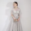 Elegant Grey Evening Dresses  2019 A-Line / Princess Scoop Neck Appliques Lace Flower 1/2 Sleeves Floor-Length / Long Formal Dresses