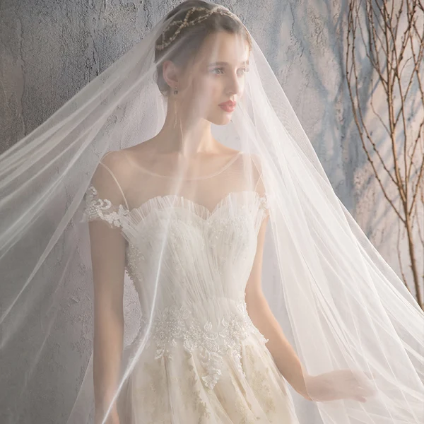 Élégant Champagne Robe De Mariée 2019 Princesse Encolure Dégagée Volants Perlage Perle En Dentelle Fleur Manches Courtes Dos Nu Royal Train