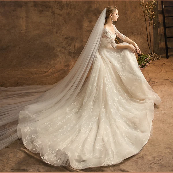 Élégant Champagne Robe De Mariée 2019 Princesse Encolure Dégagée En Dentelle Fleur Étoile 3/4 Manches Dos Nu Chapel Train