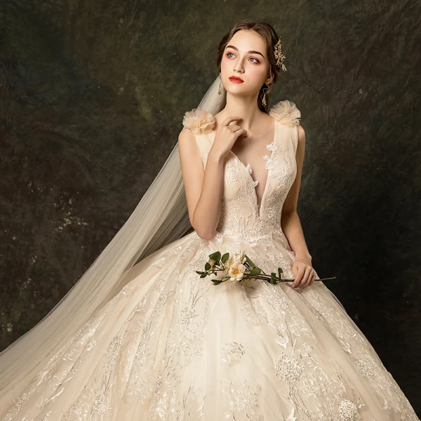 Charmant Champagner Brautkleider / Hochzeitskleider 2019 A Linie Durchsichtige Tiefer V-Ausschnitt Spitze Blumen Applikationen Ärmellos Rückenfreies Kathedrale Schleppe