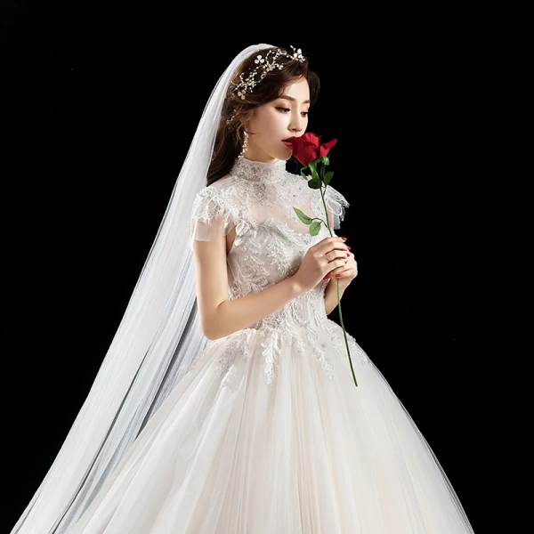 Chic / Belle Ivoire Robe De Mariée 2019 Princesse Col Haut Perlage Paillettes Appliques En Dentelle Fleur Manches Courtes Dos Nu Longue