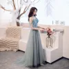 Chic / Beautiful Grey Evening Dresses  2019 A-Line / Princess Spaghetti Straps Beading Appliques Pearl Sequins Short Sleeve Backless Floor-Length / Long Formal Dresses