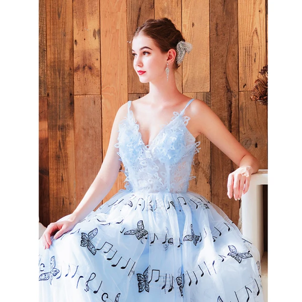 Charming Sky Blue Evening Dresses  2019 A-Line / Princess Spaghetti Straps Butterfly Appliques Sleeveless Backless Floor-Length / Long Formal Dresses