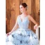 Charming Sky Blue Evening Dresses  2019 A-Line / Princess Spaghetti Straps Butterfly Appliques Sleeveless Backless Floor-Length / Long Formal Dresses