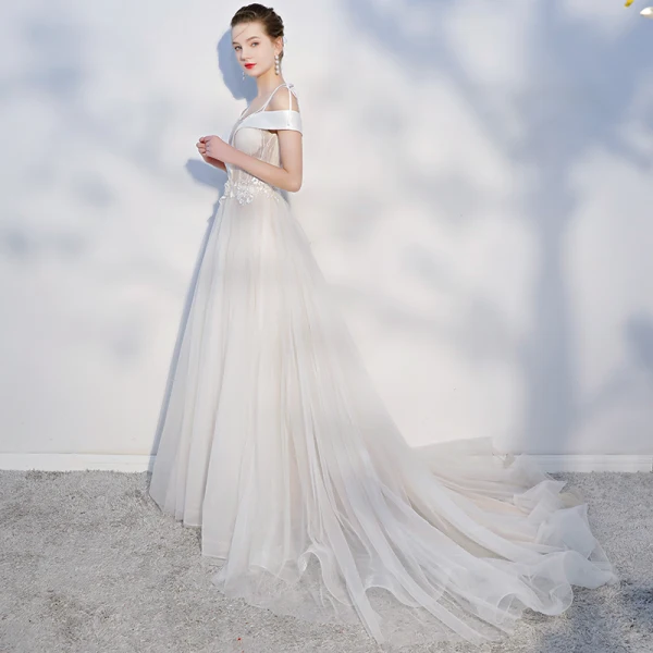 Elegant Champagne Evening Dresses 2018 A-Line / Princess Lace Appliques Spaghetti Straps Backless Sleeveless Court Train Formal Dresses