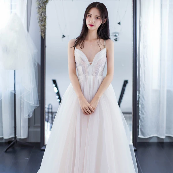 Elegant Multi-Colors Evening Dresses 2018 A-Line / Princess Appliques Spaghetti Straps Backless Sleeveless Court Train Formal Dresses