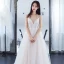 Elegant Multi-Colors Evening Dresses  2018 A-Line / Princess Appliques Spaghetti Straps Backless Sleeveless Court Train Formal Dresses