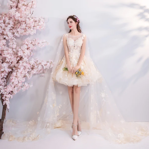 Mode Champagne Bröllopsklänningar 2018 Balklänning Spets Broderade Appliqués Pärla Urringning Ärmlös Watteau Train Bröllop