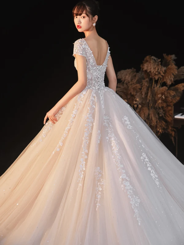 Charming Champagne Wedding Dresses 2020 Ball Gown See-through V-Neck Beading Star Sequins Lace Flower Short Sleeve Backless Royal Train