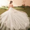 Modest / Simple White Wedding Dresses 2018 A-Line / Princess Lace V-Neck Spaghetti Straps Backless Court Train Sleeveless Wedding