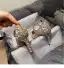 Glittrande Charmig Champagne Brudskor 2020 Läder Rhinestone Pärla 8 cm Stilettklackar Spetsiga Bröllop Pumps