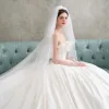 Elegant Champagne Wedding Dresses 2018 Ball Gown Strapless Backless Sleeveless Chapel Train Wedding