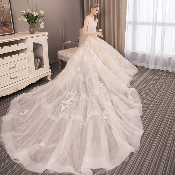 Modern / Fashion Champagne Wedding Dresses 2018 A-Line / Princess Appliques Lace Flower Pearl Sequins Bow Strapless Backless Sleeveless Cathedral Train Wedding
