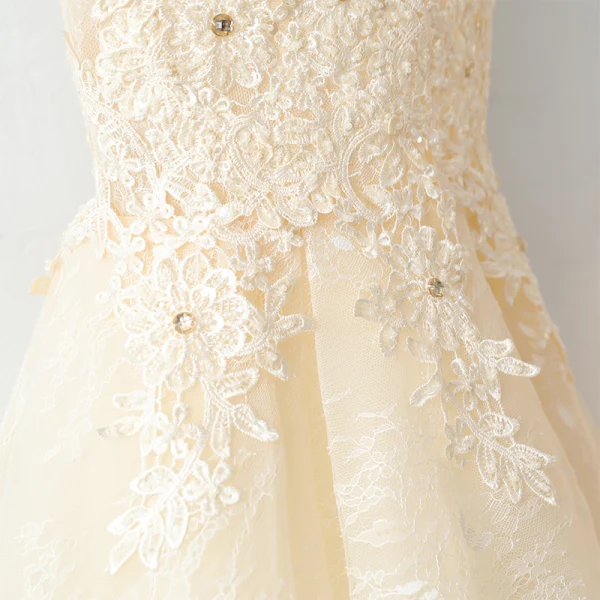 Chic / Beautiful Champagne Homecoming Graduation Dresses 2017 A-Line / Princess Lace Flower Backless Rhinestone V-Neck Sleeveless Short