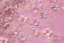 Flower Fairy Blushing Pink Pearl Lace Flower Prom Dresses 2025 A-Line / Princess Spaghetti Straps Sleeveless Backless Floor-Length / Long Formal Dresses