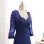 Vintage / Originale Bleu Roi Robe De Mère De Mariée 2019 Dentelle Chiffon V-Cou Appliques Perlage Brodé Faux Diamant Train De Balayage Église Trompette / Sirène Robe Pour Mariage