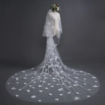 Chic Beautiful White Wedding Veils 2017 Tulle Appliques Embroidered Wedding