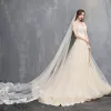 Affordable Champagne Wedding Dresses 2018 A-Line / Princess Sweetheart Short Sleeve Backless Appliques Lace Ruffle Chapel Train