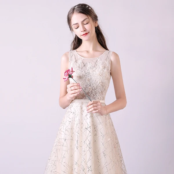 Bling Bling Champagne Evening Dresses 2018 A-Line / Princess Scoop Neck Sleeveless Appliques Flower Sequins Beading Sash Court Train Ruffle Formal Dresses