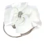 Fée Des Fleurs Blanche Pochette Perlage Fleur Faux Diamant Velour Mariage Accessorize 2019