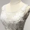 Chic / Beautiful Grey Bridesmaid Dresses 2017 A-Line / Princess Scoop Neck Sleeveless Appliques Lace Sash Glitter Tulle Ruffle Floor-Length / Long Backless Wedding Party Dresses