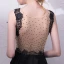 Elegant Black Evening Dresses  2018 A-Line / Princess Lace V-Neck Sleeveless Court Train Formal Dresses
