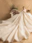 Luxe Champagne Trouwjurken 2019 A lijn Ronde Hals Kralen Parel Rhinestone Kant Bloem Lange Mouwen Ruglooze Cathedral Train