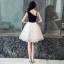 Modern / Fashion Black Homecoming Graduation Dresses 2019 A-Line / Princess Lace Appliques Star Shoulders Sleeveless Backless Knee-Length Formal Dresses