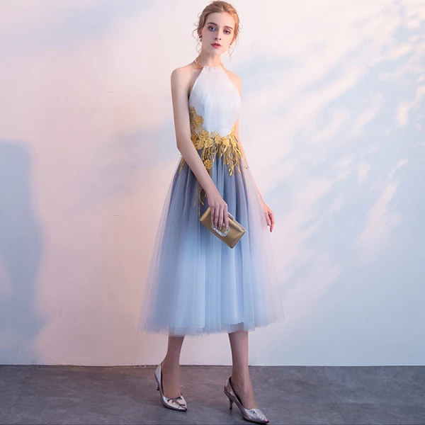 Chic / Belle Dégradé De Couleur de retour Robe De Graduation 2018 Princesse Appliques Titulaire Dos Nu Sans Manches Mi-Longues Robe De Ceremonie