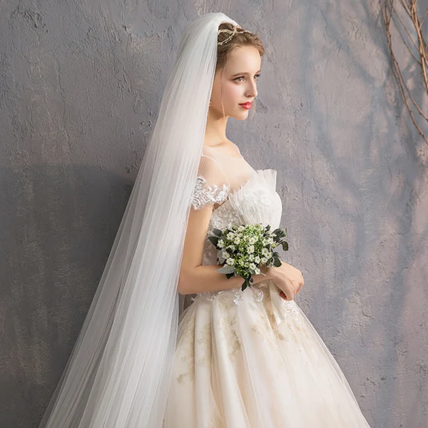 Élégant Champagne Robe De Mariée 2019 Princesse Encolure Dégagée Volants Perlage Perle En Dentelle Fleur Manches Courtes Dos Nu Royal Train