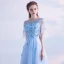 Chic / Beautiful Sky Blue Evening Dresses  2018 A-Line / Princess Lace Butterfly Scoop Neck Backless Short Sleeve Floor-Length / Long Formal Dresses