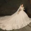Charmant Champagner Brautkleider / Hochzeitskleider 2019 A Linie Durchsichtige Tiefer V-Ausschnitt Spitze Blumen Applikationen Ärmellos Rückenfreies Kathedrale Schleppe