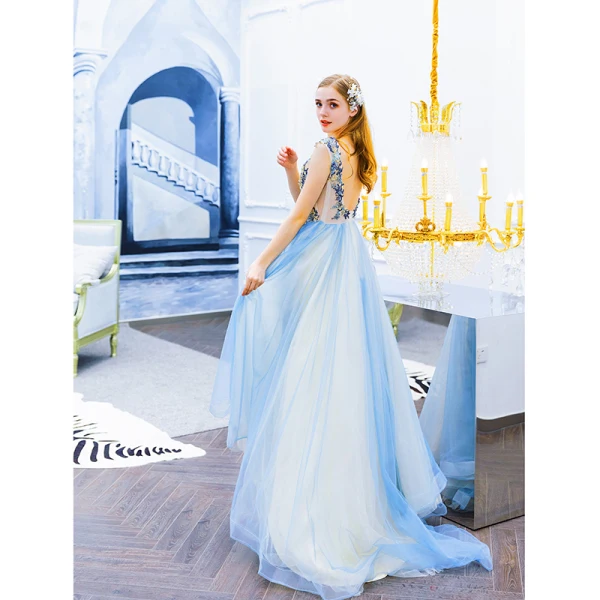 Modern / Fashion Sky Blue Evening Dresses 2019 A-Line / Princess V-Neck Beading Pearl Rhinestone Lace Flower Sleeveless Backless Sweep Train Formal Dresses