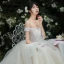 High-end Champagne Wedding Dresses 2019 Ball Gown Off-The-Shoulder Lace Flower Sleeveless Backless Royal Train